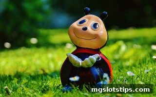 复式投注深度解析：mg电子游戏攻略助你提升中奖覆盖面