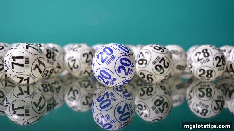 掌握胆拖与复式投注精髓 | mg电子游戏攻略教你玩转存送活动