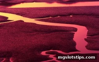 mg电子游戏攻略：单式与复合投注策略的深度解析及TRC20充值应用