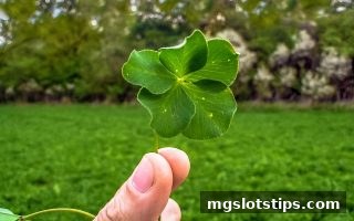 AG真人彩票平台深度解析：mg电子游戏攻略带你分辨经典、极速与主题版的差异