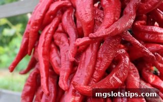 mg电子游戏攻略：财神电子游艺波动性评估指标与平台安全深度剖析