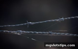 菲律宾游戏娱乐平台选择全攻略：mg电子游戏攻略带你避坑