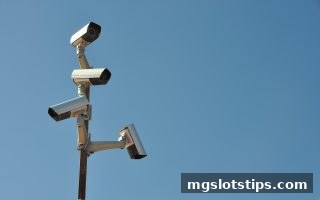 欧冠实时比分深度洞察：mg电子游戏攻略助你甄别SBO平台真伪